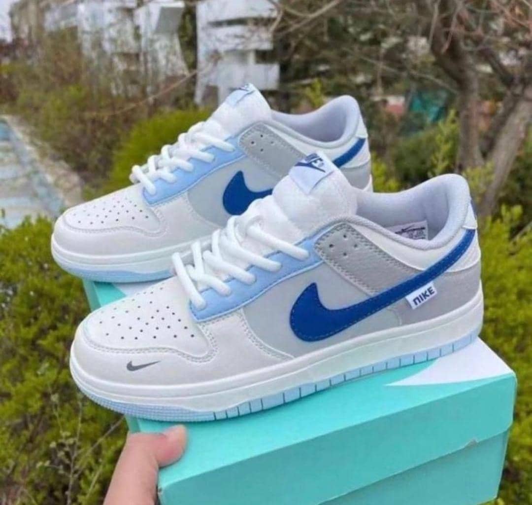 Nike Dunk Low GS sneakers